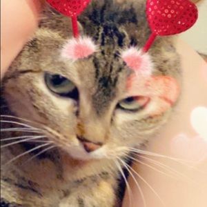 Meet your Posher, Kristin